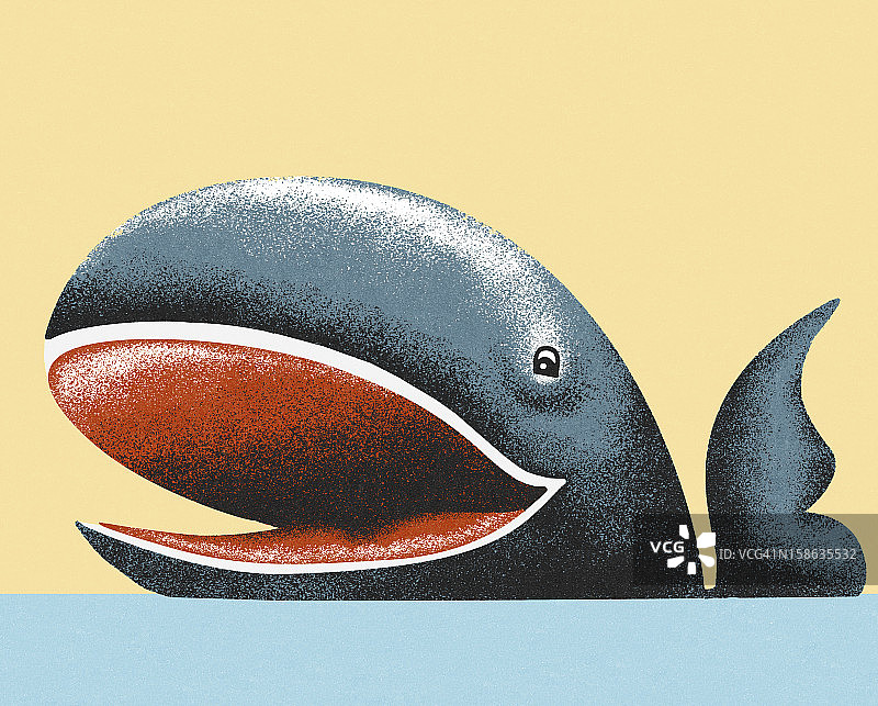 微笑的鲸鱼图片素材