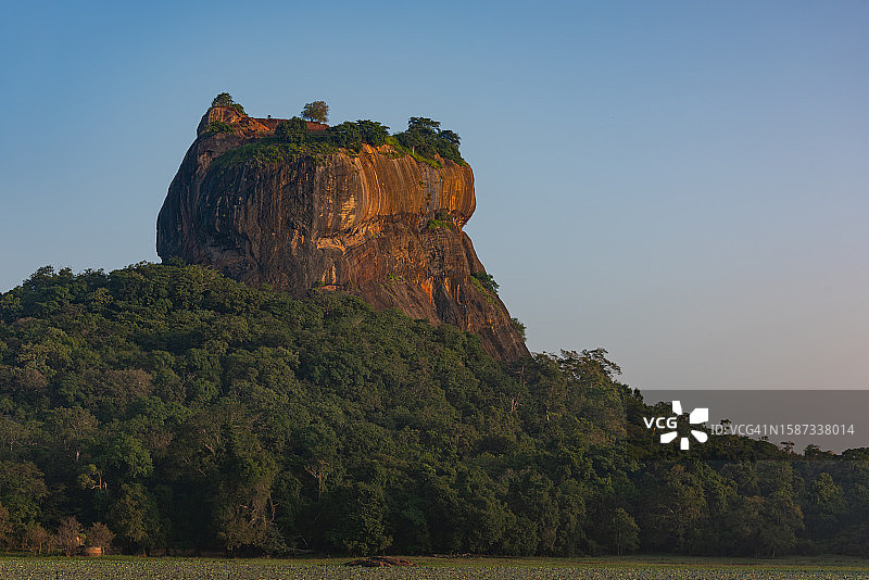 斯里兰卡丹布勒日出时分的狮子岩图片素材