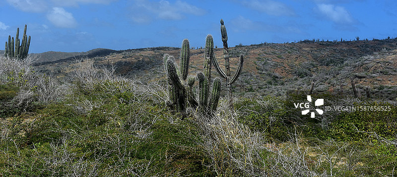 阿鲁巴陆地景观全景图片素材