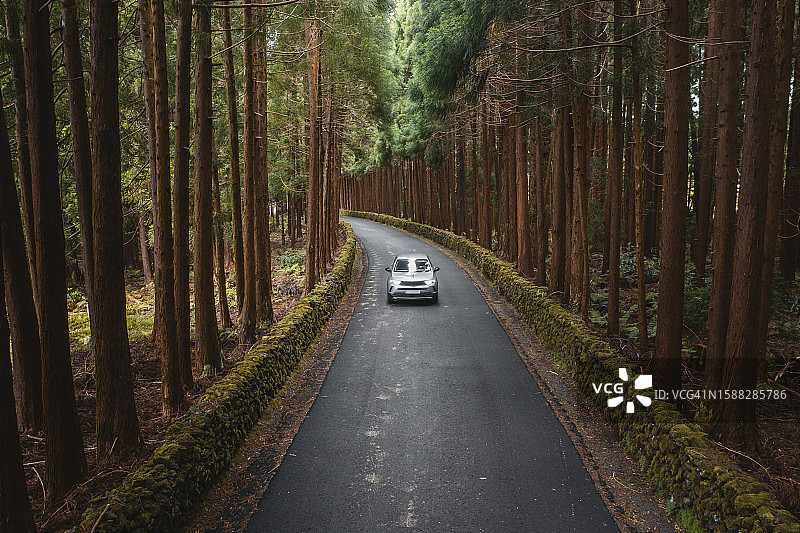 汽车在森林中行驶图片素材