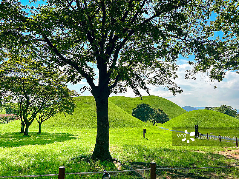 大陵苑，韩国图片素材