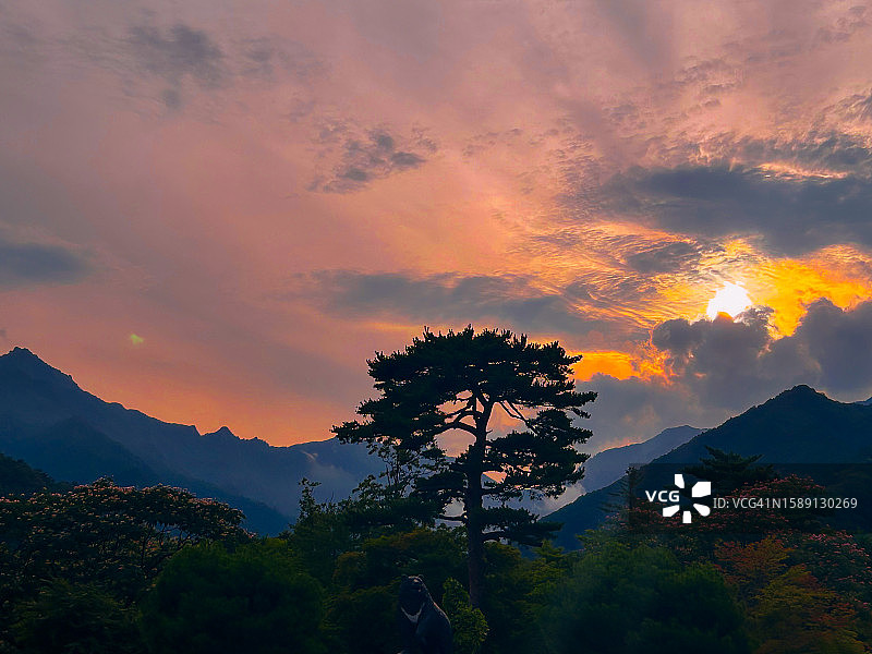 雪岳山国家公园的山脉／韩国图片素材