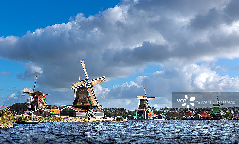 荷兰赞斯堡风车湖畔的郁金香花田图片素材