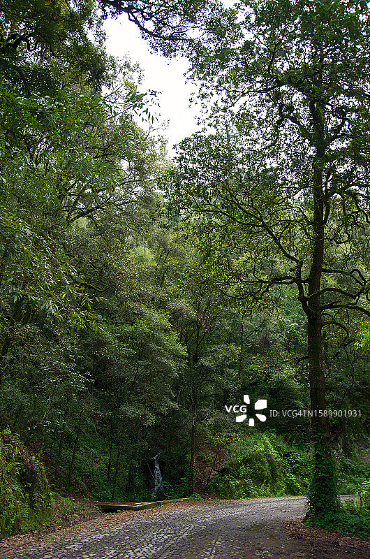 墨西哥伊达尔戈州奇科国家公园的旅游开发区图片素材