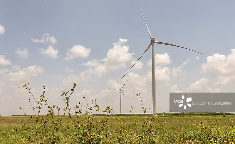 美国德克萨斯州风车田野风光图片素材