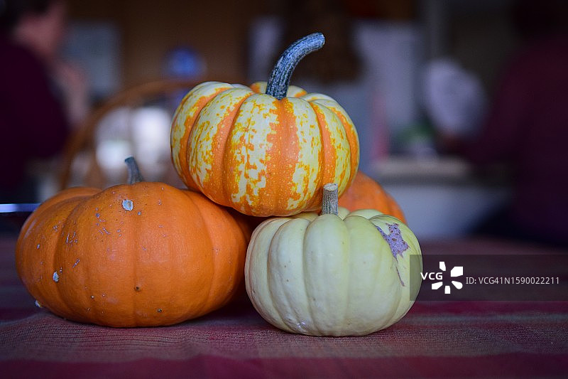 美国爱达荷州桌子上的南瓜特写图片素材