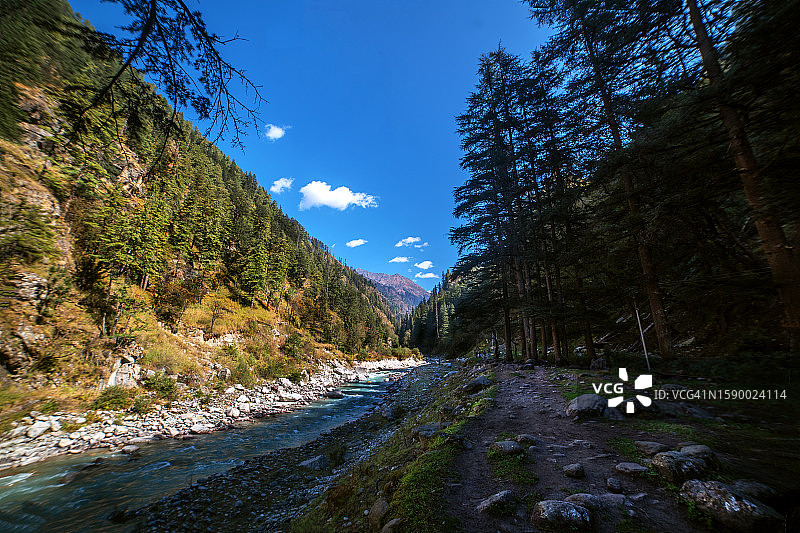 印度北阿坎德邦树木河流风景图片素材