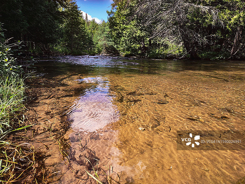 美国密歇根州森林中的河流风光图片素材