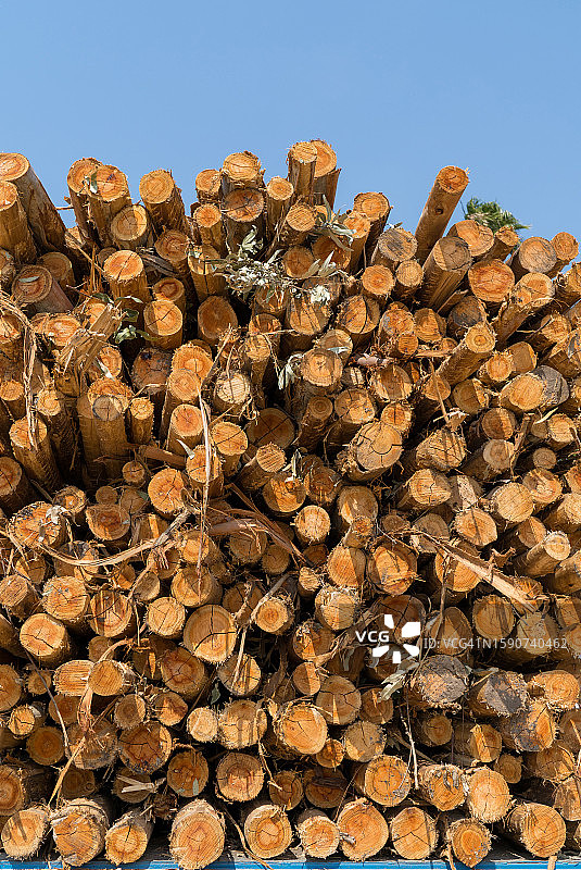 搬运树干图片素材