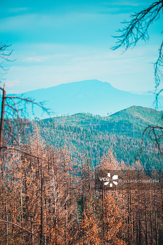 新墨西哥州Cerro Pelado 6图片素材