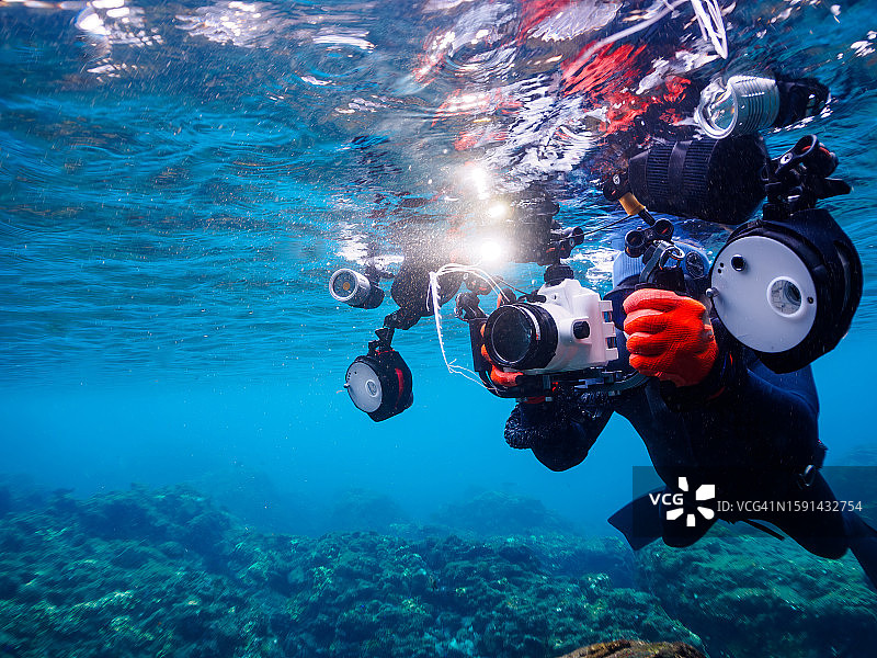 稀有的深海皇带鱼幼鱼图片素材