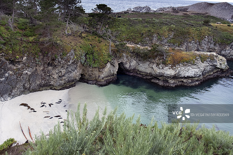 加利福尼亚州卡梅尔附近洛博斯角州立公园的水和海湾的美丽高角度风景图片素材