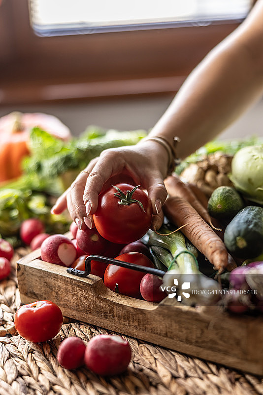 装满新鲜蔬菜的箱子和放入西红柿的女人双手图片素材