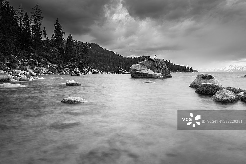 盆景黑白图片素材