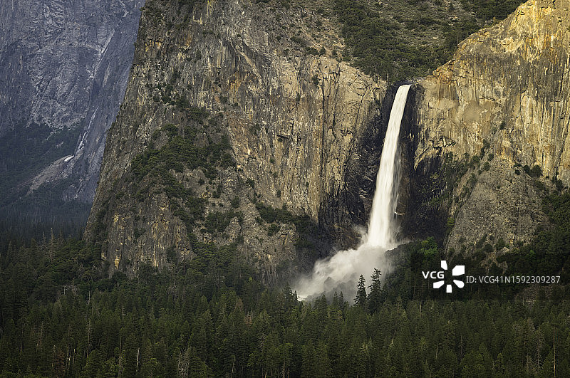 新娘面纱落下图片素材