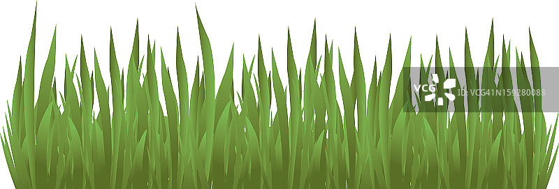 草地细节图片素材