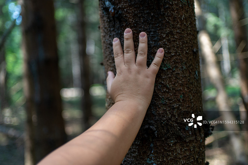 亲近自然图片素材