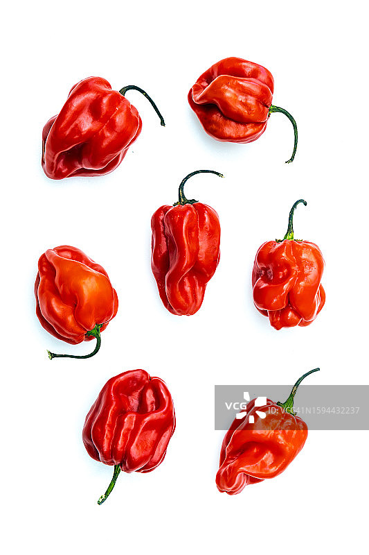 排列在白色背景上的苏格兰帽辣椒照片图片素材