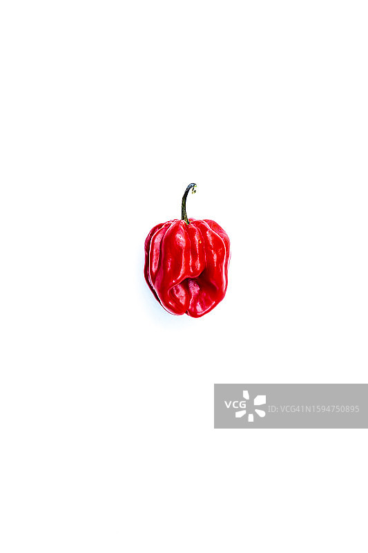 白色背景上的单个苏格兰帽辣椒摄影素材图片素材