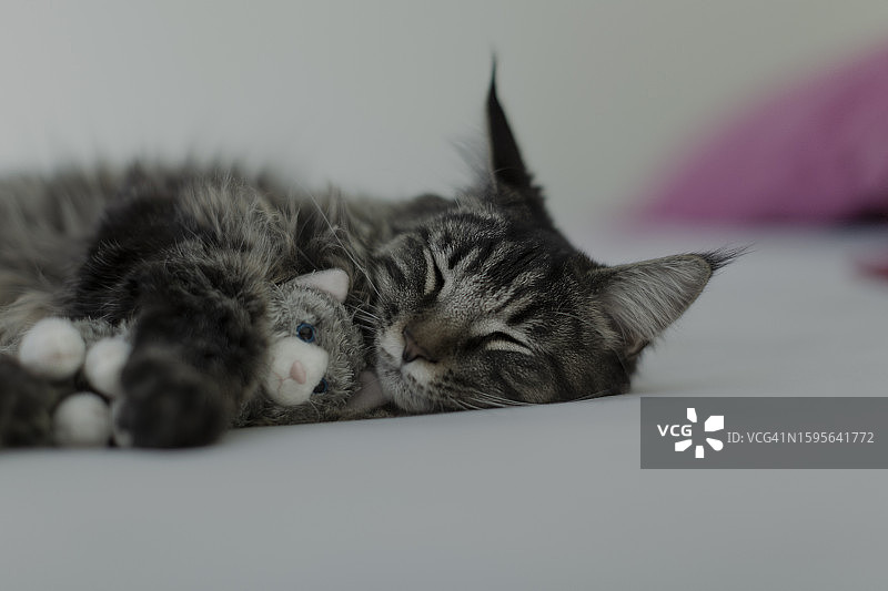 熟睡的可爱形象图片素材