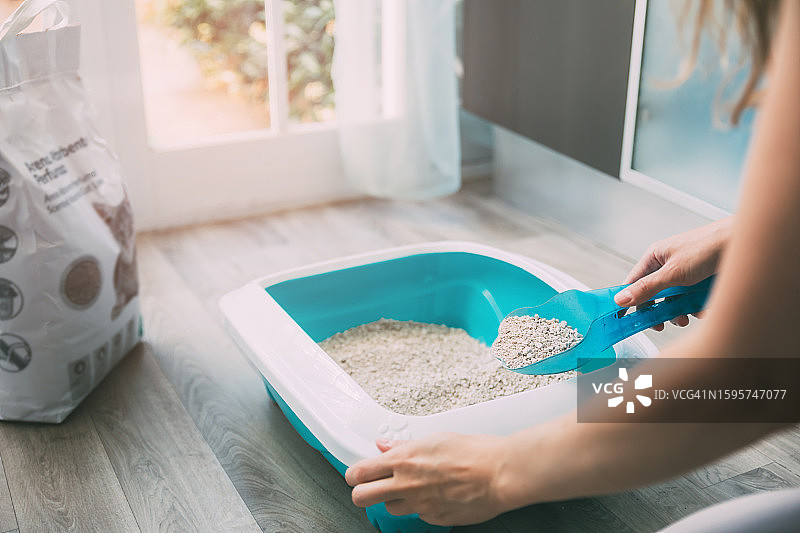 女人清理猫砂盆图片素材