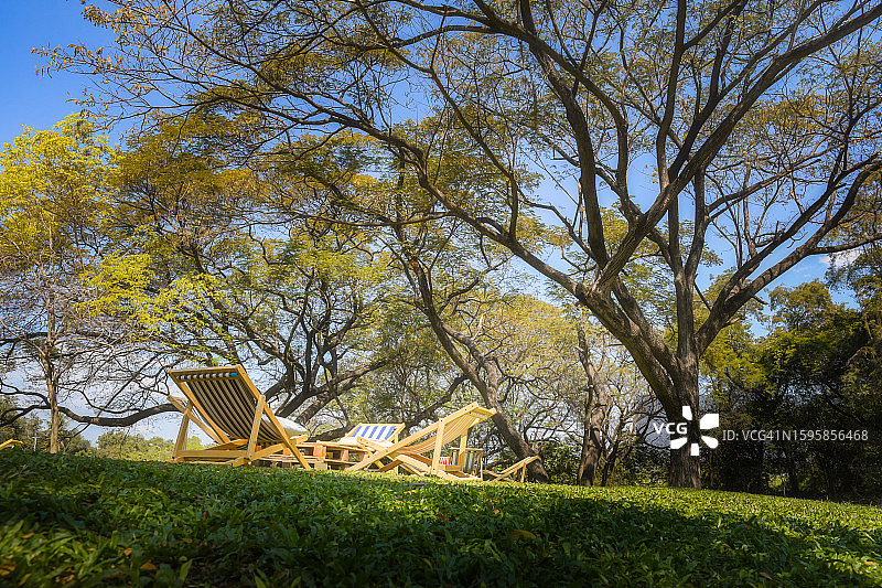 花园里的椅子，享受自然放松的时刻图片素材
