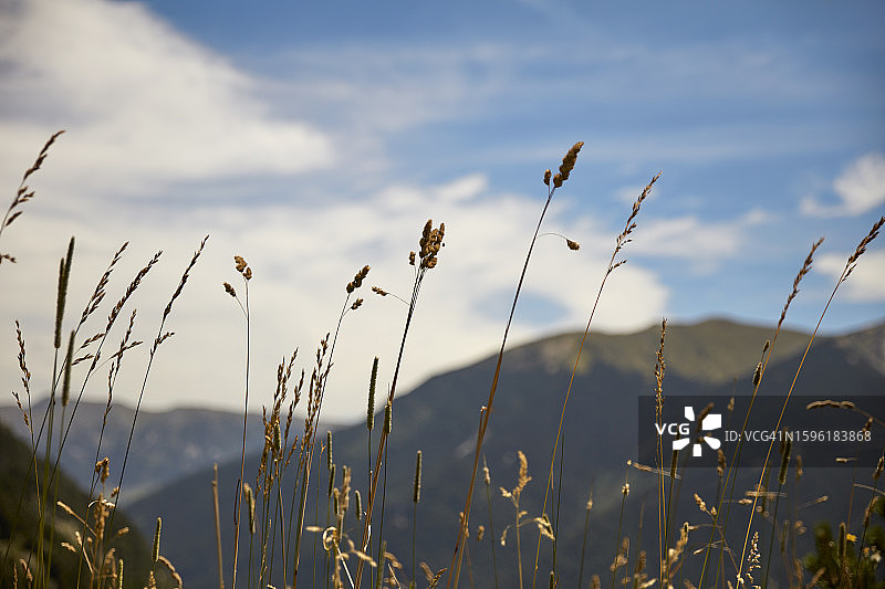 比利牛斯山脉植被图片素材