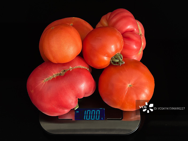 一公斤西红柿图片素材