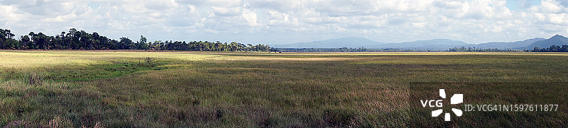 朗科瓦拉的苏拉威西岛东南部草原图片素材