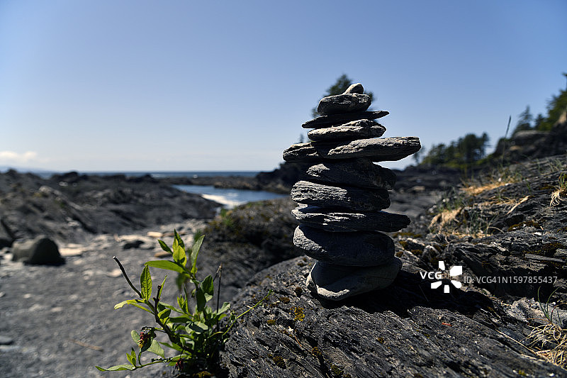 野花盛开的地方图片素材