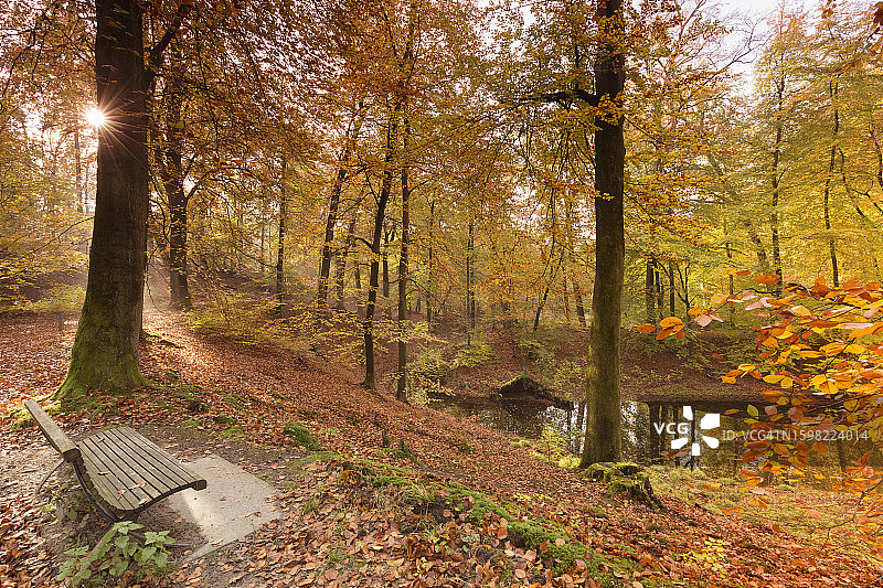 位于阿纳姆和费尔普附近的贝克赫伊曾山以及波斯班克的森林溪流，秋季图片素材