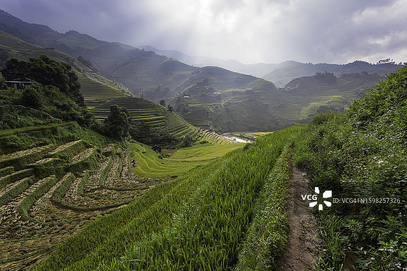越南安沛木江界雨季的绿色梯田图片素材
