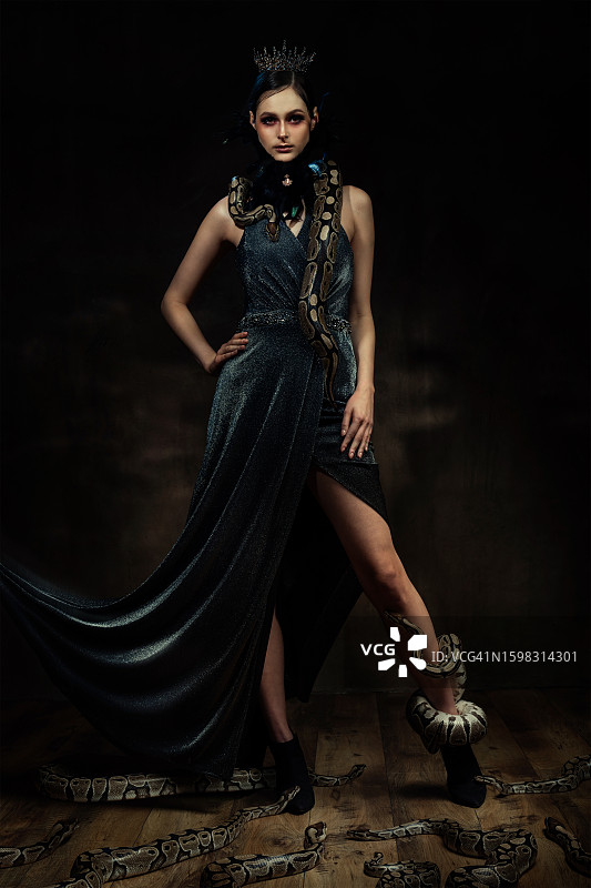 蛇类动物图片素材