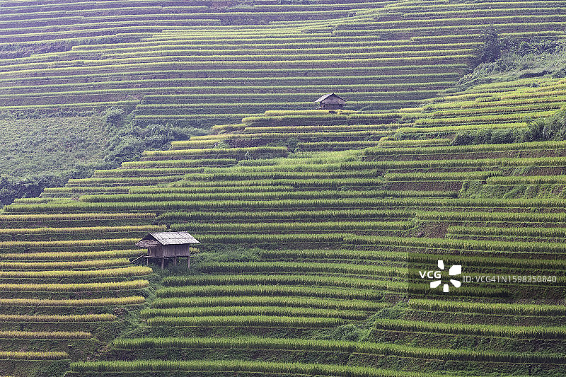 越南安沛木江界雨季的绿色梯田图片素材
