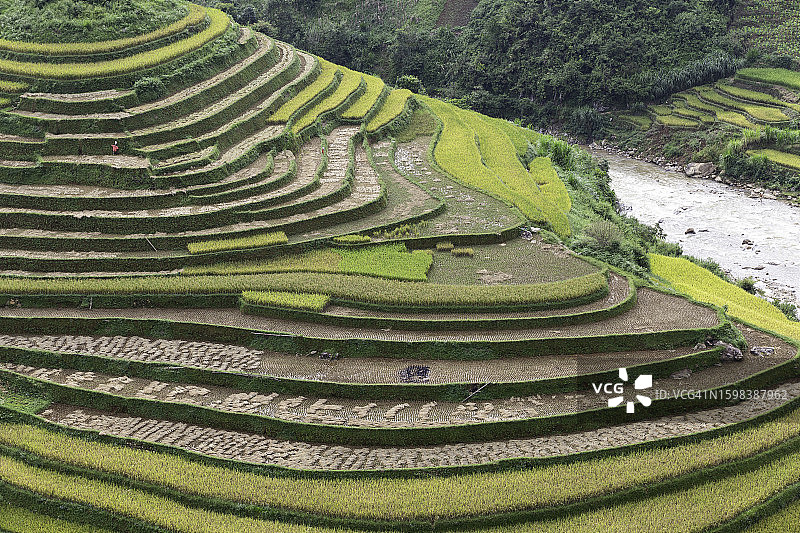 越南安沛木江界雨季的绿色梯田图片素材