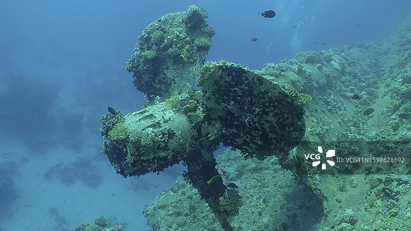 塞勒姆快速渡轮残骸的螺旋桨，位于埃及萨法加红海图片素材