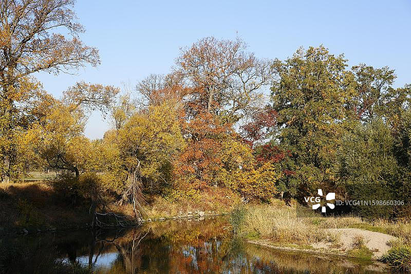 德国萨克森-安哈尔特州，中易北生物圈保护区牛轭湖的秋日氛围图片素材
