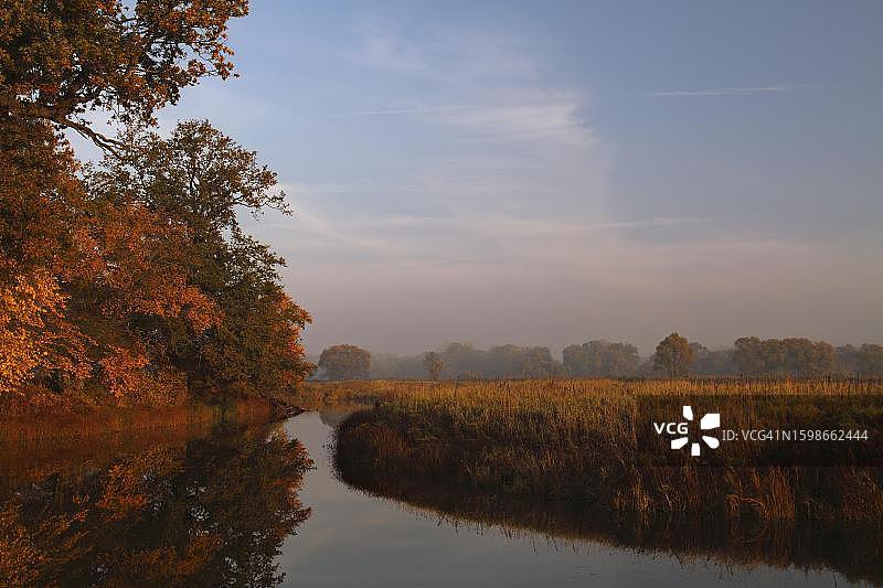 德国易北河中段牛轭湖秋季古老橡树图片素材