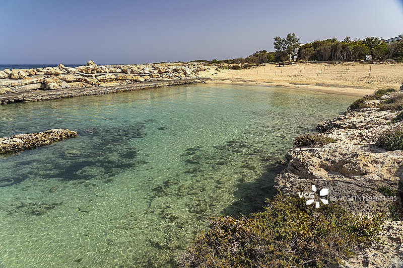塞浦路斯普罗塔拉斯的含羞草海滩图片素材