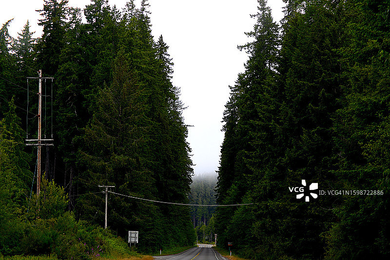 在华盛顿州奥林匹克国家公园自驾图片素材