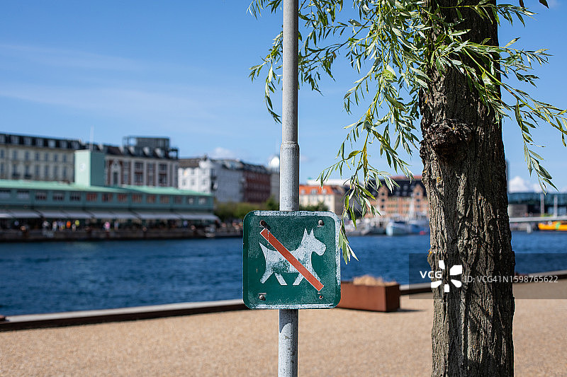 哥本哈根禁止遛狗图片素材