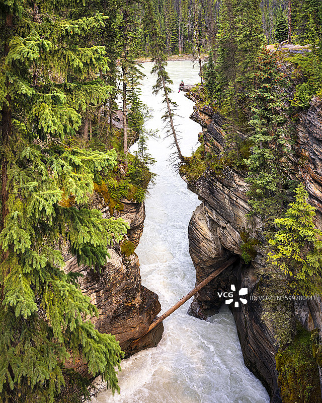 艾伯塔省贾斯珀国家公园附近的阿塔巴斯卡河图片素材