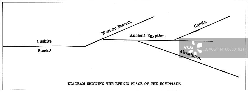 古埃及人种分布图老式雕刻插图图片素材