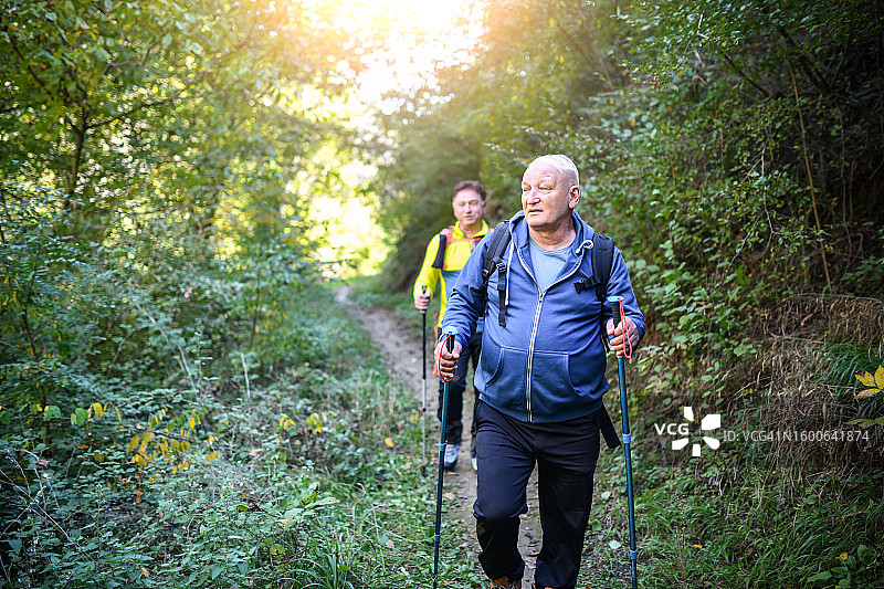 两位年长的徒步旅行者利用经验和知识在森林中穿行的正面图图片素材