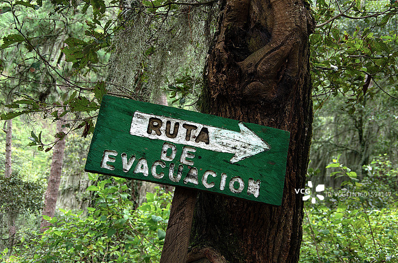 自然保护区内用西班牙语雕刻在树干上的“疏散路线”标志图片素材