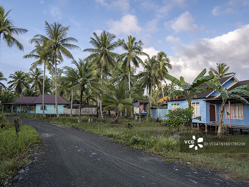 天空下的树木和房屋图片素材