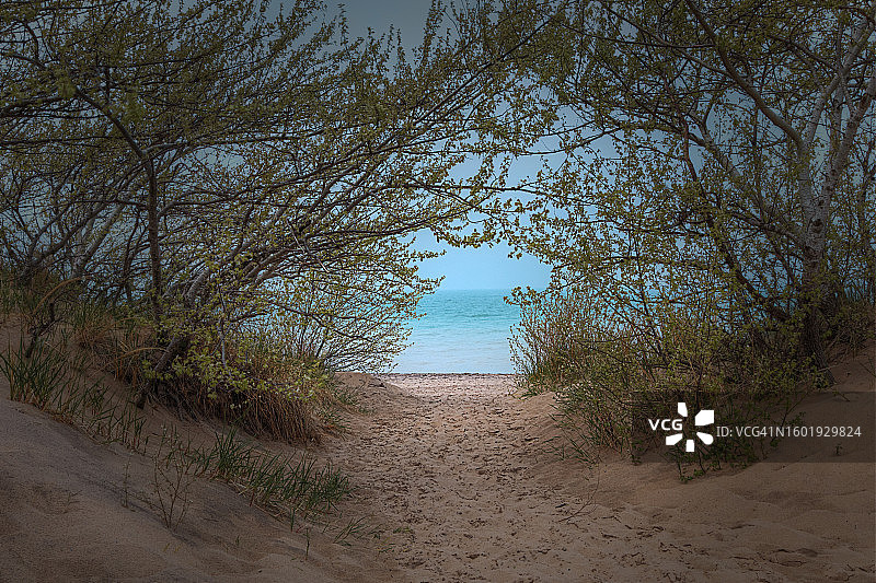 通往海滩的小路图片素材