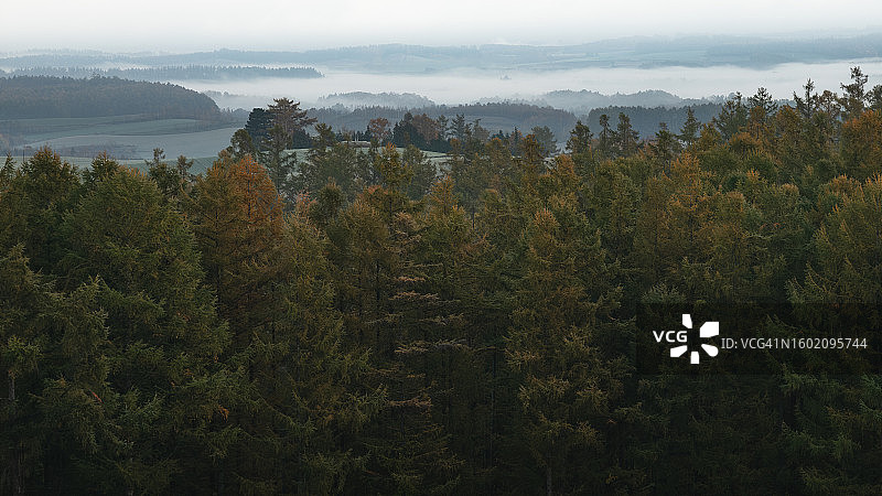 防风林图片素材