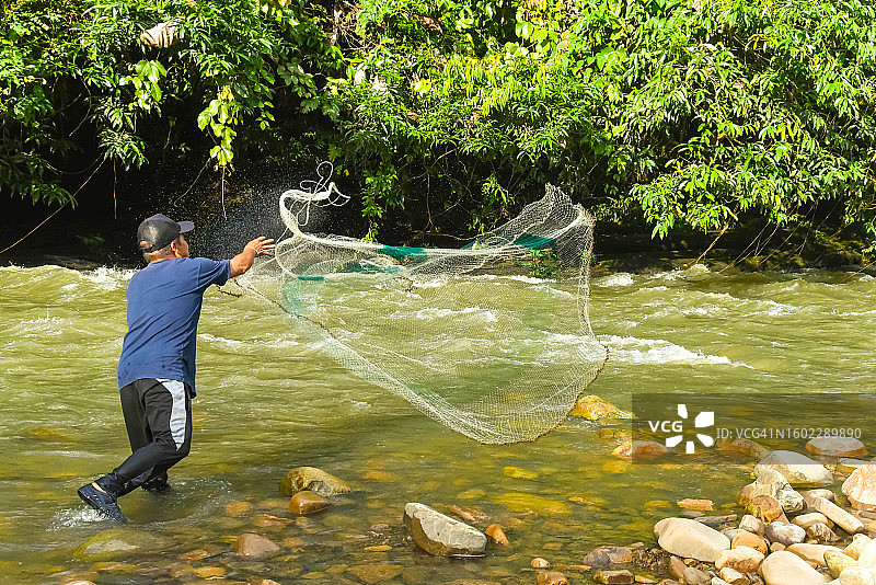 特写：马来西亚沙捞越渔民在河中撒网图片素材