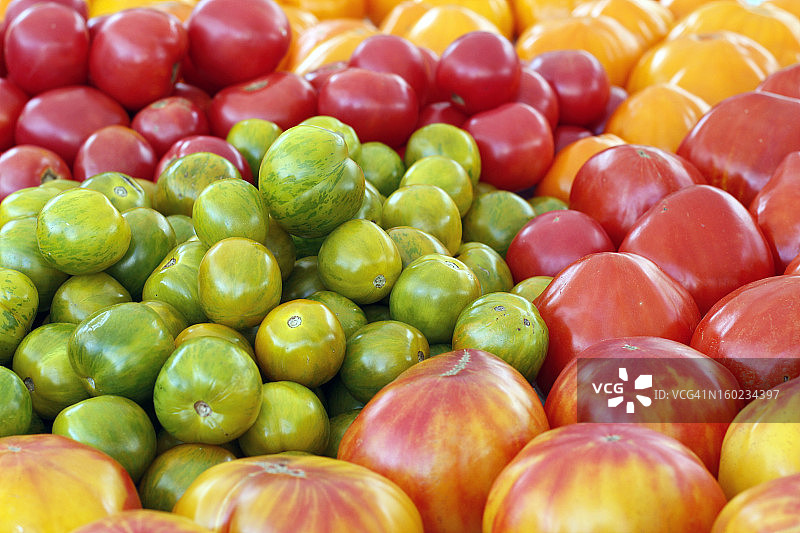 各种色彩鲜艳的传家宝番茄图片素材